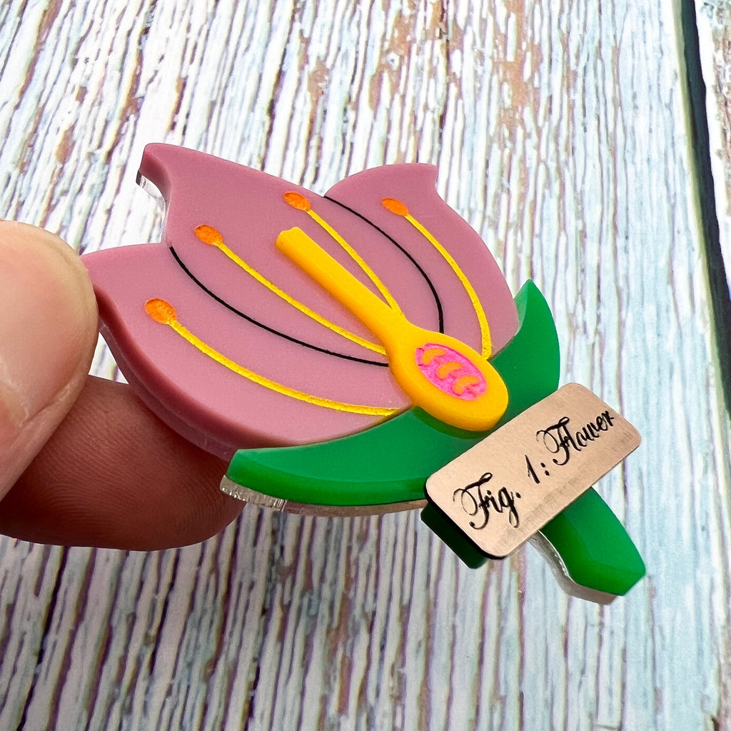 A brooch showing a cross-sectional view of a flower, with a gold Fig1: Flower label underneath. Laser cut and handpainted from acrylic. Angled view.