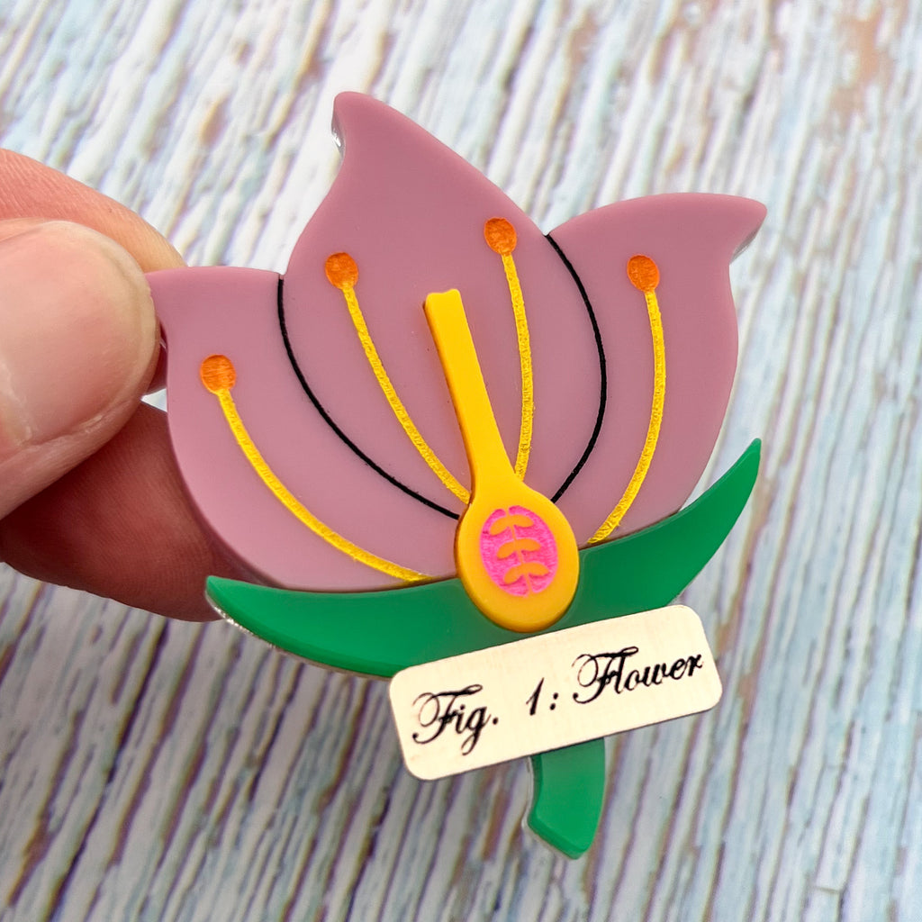 A brooch showing a cross-sectional view of a flower, with a gold Fig1: Flower label underneath. Laser cut and handpainted from acrylic.