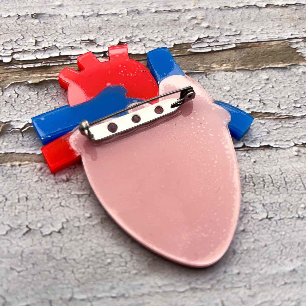 The back of an anatomical heart brooch, showing the stainless steel brooch pin and rolling clasp.