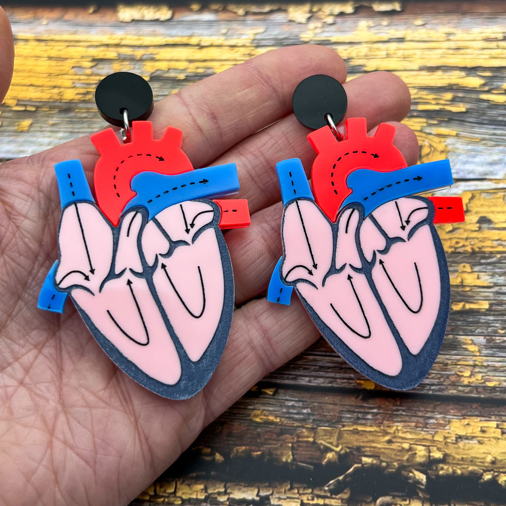 A pair of anatomical heart earrings, showing a cross-sectional view. Made from laser cut and handpainted acrylic.