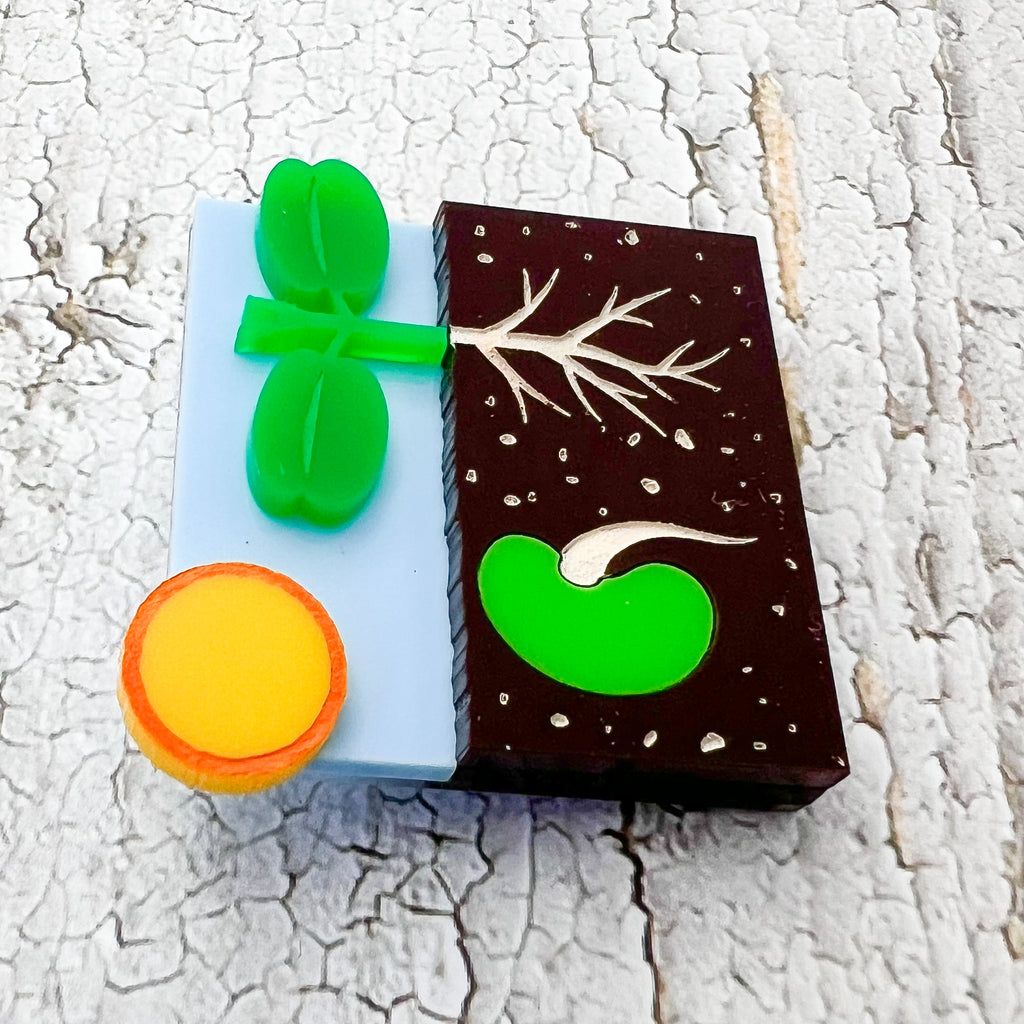 A brooch showing two stages in the plant germination process. One side shows a seed in the ground while the other side shows a seedling with roots. Laser cut and handpainted from acrylic.