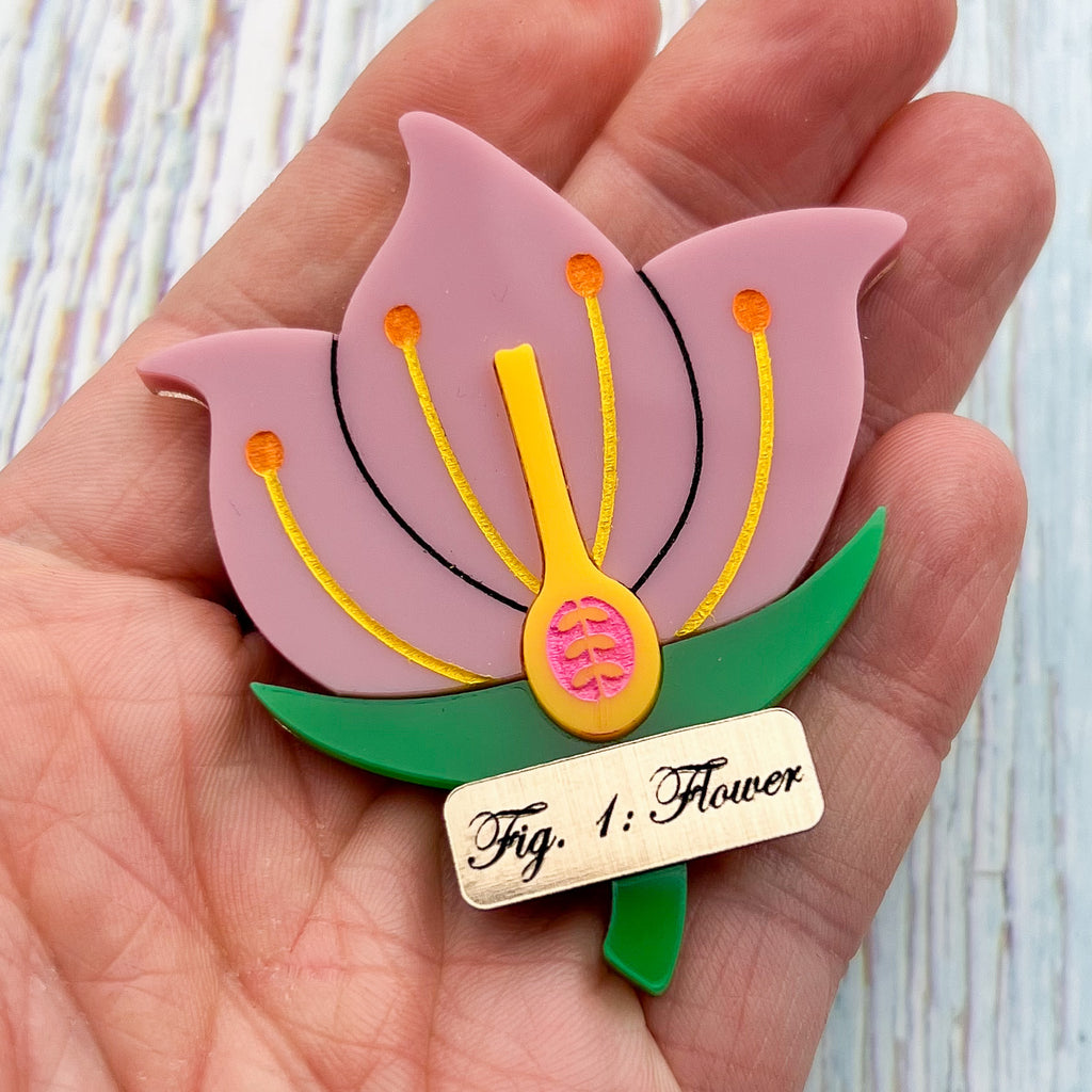 A brooch showing a cross-sectional view of a flower, with a gold Fig1: Flower label underneath. Laser cut and handpainted from acrylic. 
