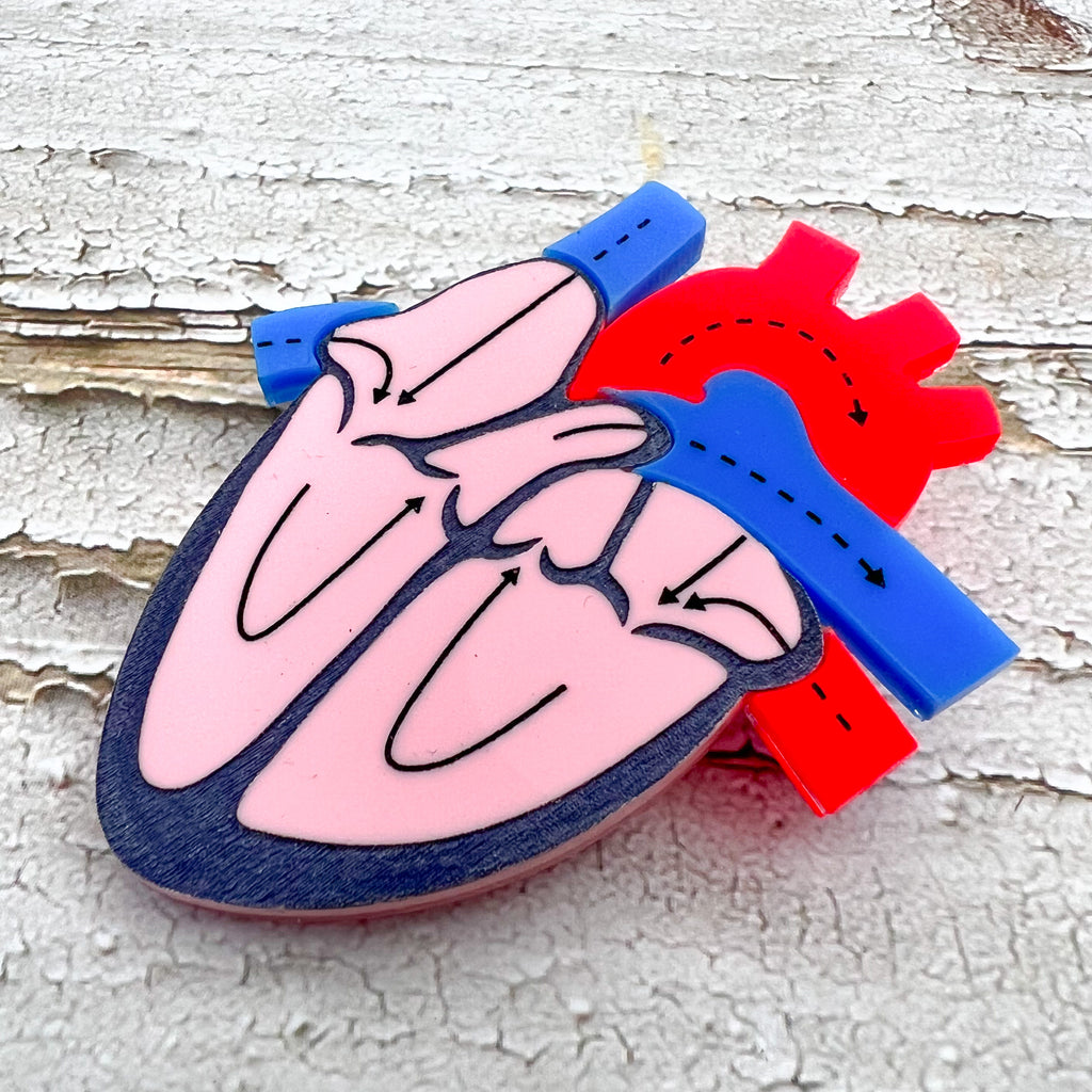 An angled view of an anatomical heart brooch showing a cross-sectional view. Made from laser cut and handpainted acrylic.