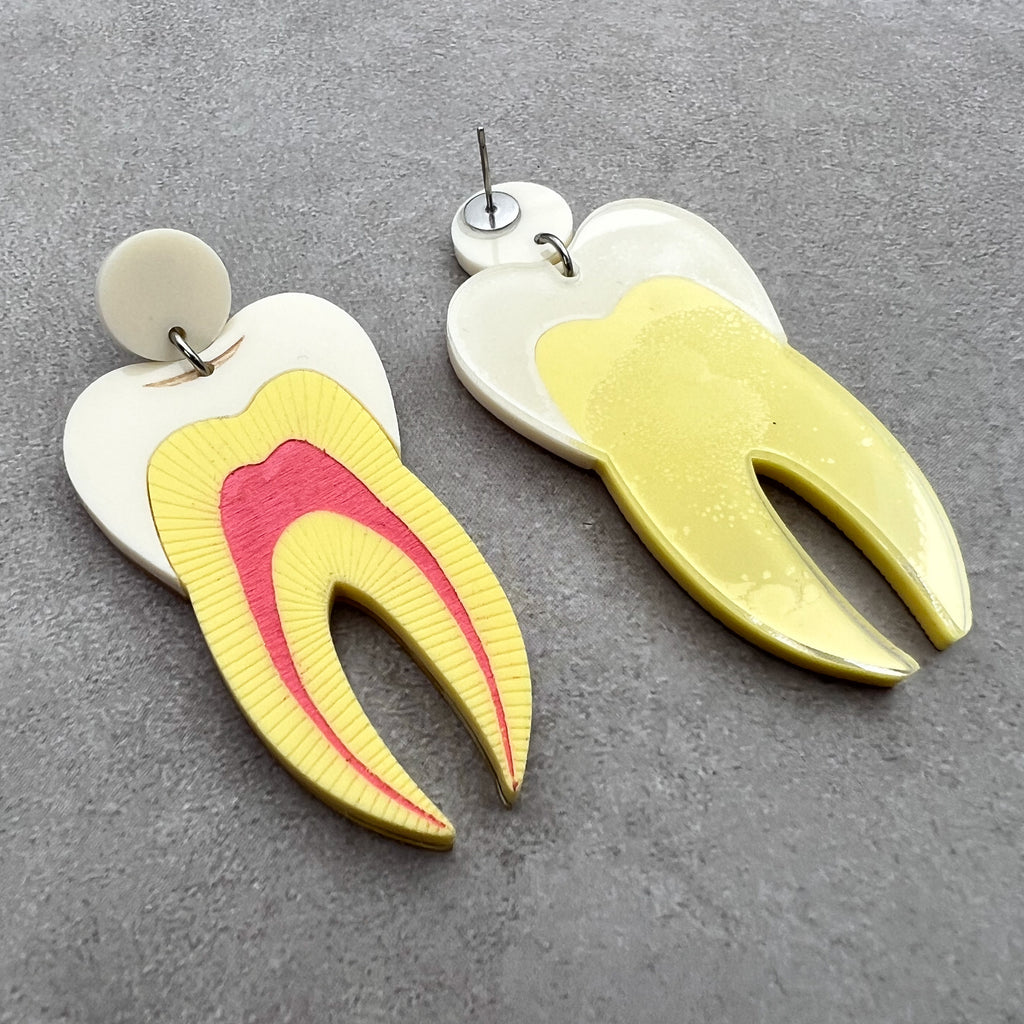 A pair of tooth earrings, laser cut from acrylic and showing a cross-sectional view.  The back of one earrings is visible, showing the stainless steel earring post. 