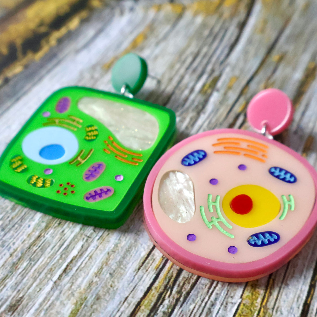 Angled view of two colourful asymmetrical acrylic earrings resembling plant and animal cell models on a wooden surface