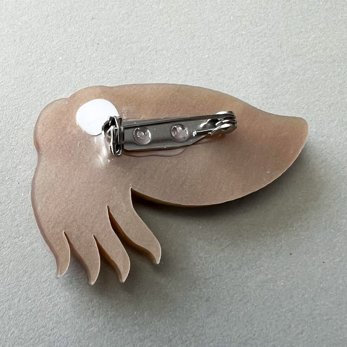 Back view of a cuttlefish brooch with a metal clasp