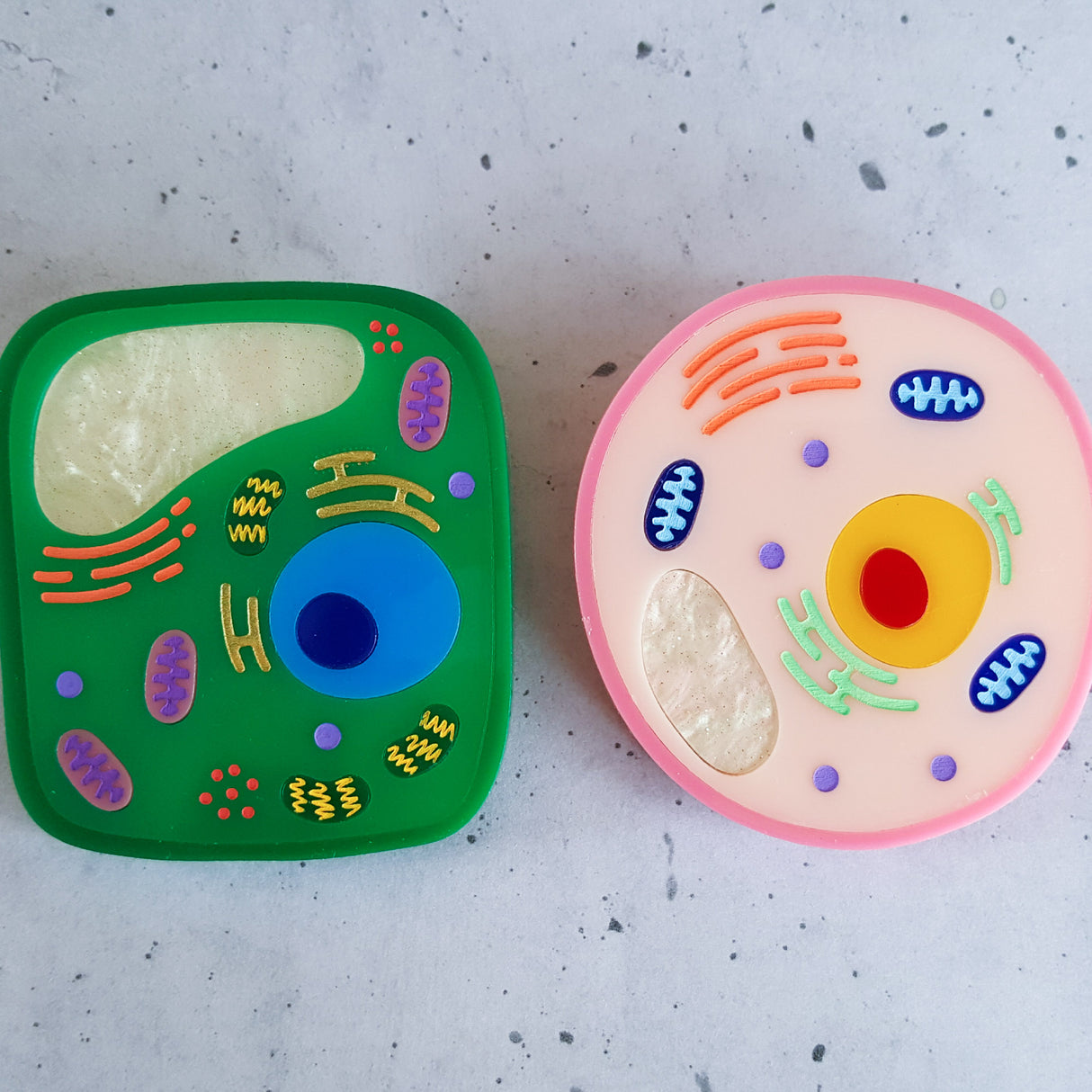 A pair of plant and animal cell acrylic brooches
