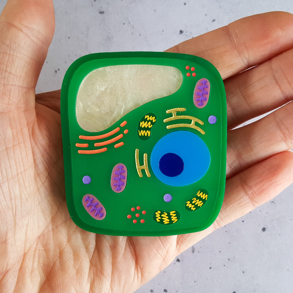 A green plant cell acrylic brooch. Held in palm for scale.
