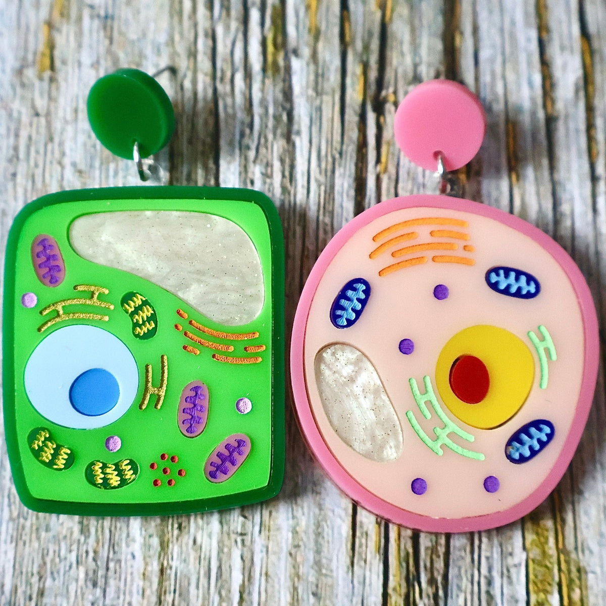Biology Earrings, Brooches and Necklaces. Handmade in Australia. – Oh Pluto