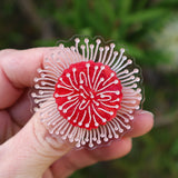Pincushion Hakea Native Flower Brooch