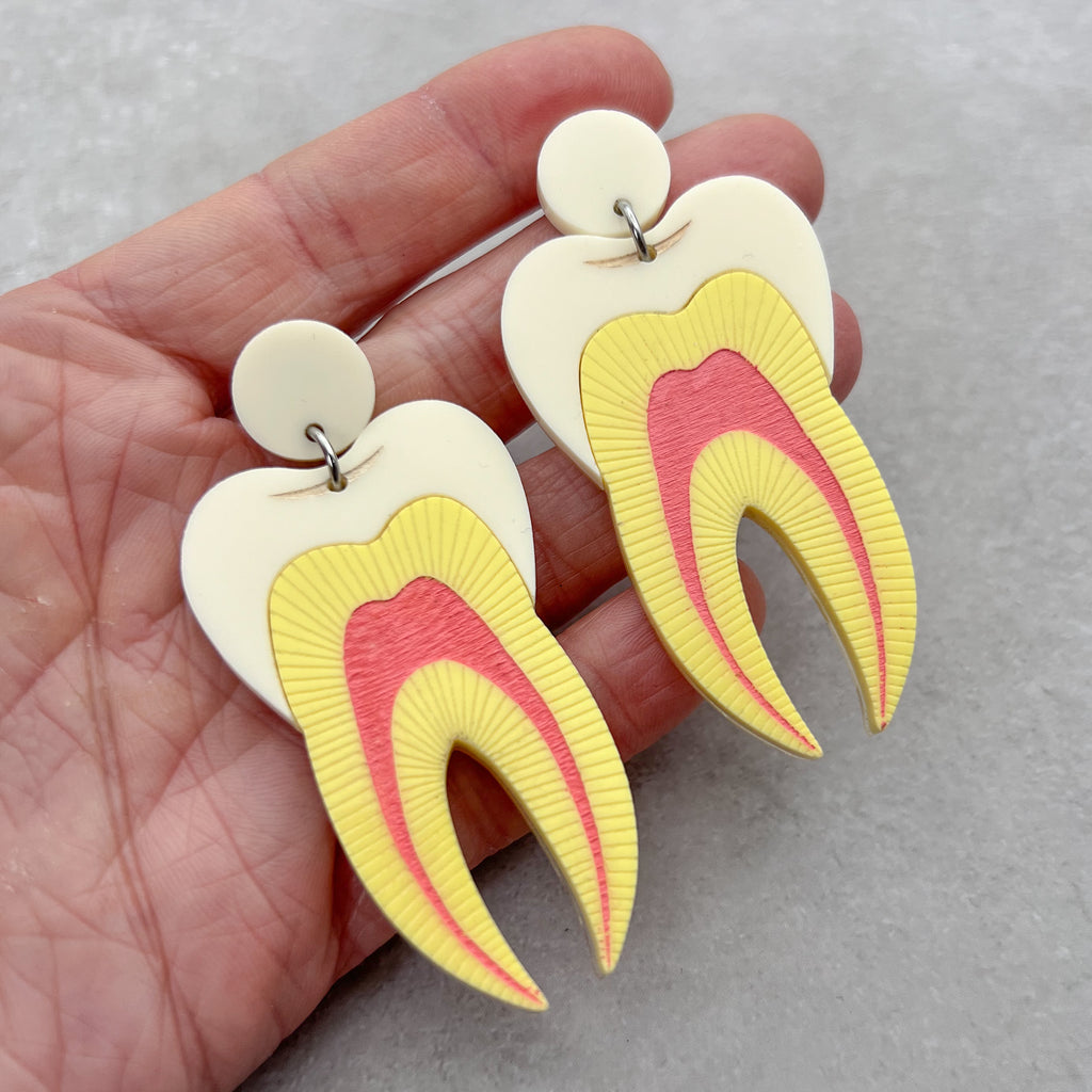 A pair of tooth earrings, laser cut from acrylic and showing a cross-sectional view. 