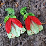 Qualup Bell Native Flower Acrylic Earrings