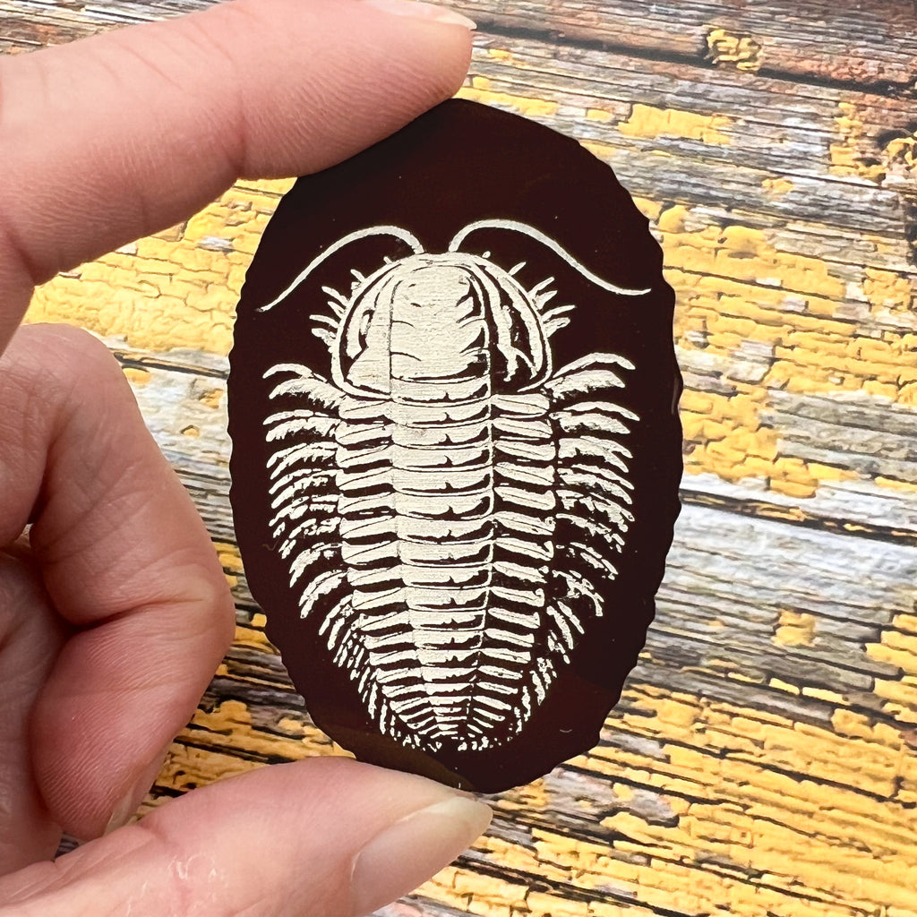 A trilobite fossil brooch, in brown acrylic, with a beige handpainted trilobite imprint, made to look like a real lifelike fossil.