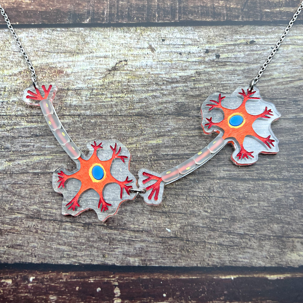 A necklace comprising of two acrylic neurons with handpainted details. Laser cut from acrylic and on a stainless steel chain.