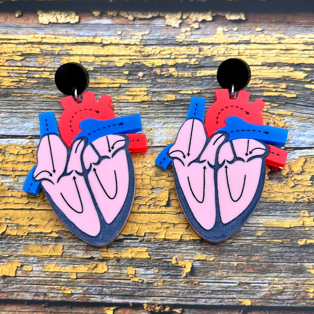 A pair of anatomical heart earrings, showing a cross-sectional view. Made from laser cut and handpainted acrylic.