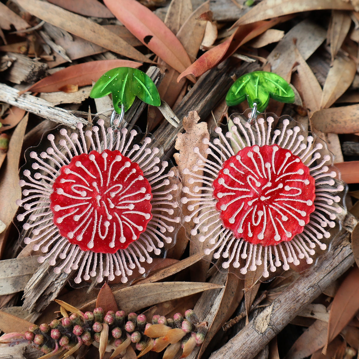 Pincushion Hakea Native Flower Acrylic Earrings