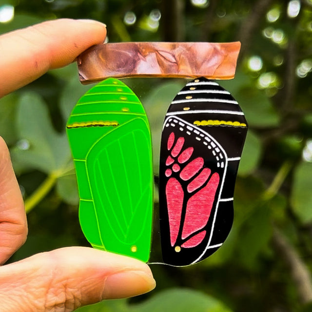 A brooch showing two stages in a monarch butterfly chrysalis development, with one side being a green chrysalis with the other being a late stage black and red chrysalis, both hanging from a brown acrylic ‘branch’.