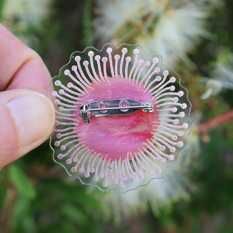 Pincushion Hakea Native Flower Brooch