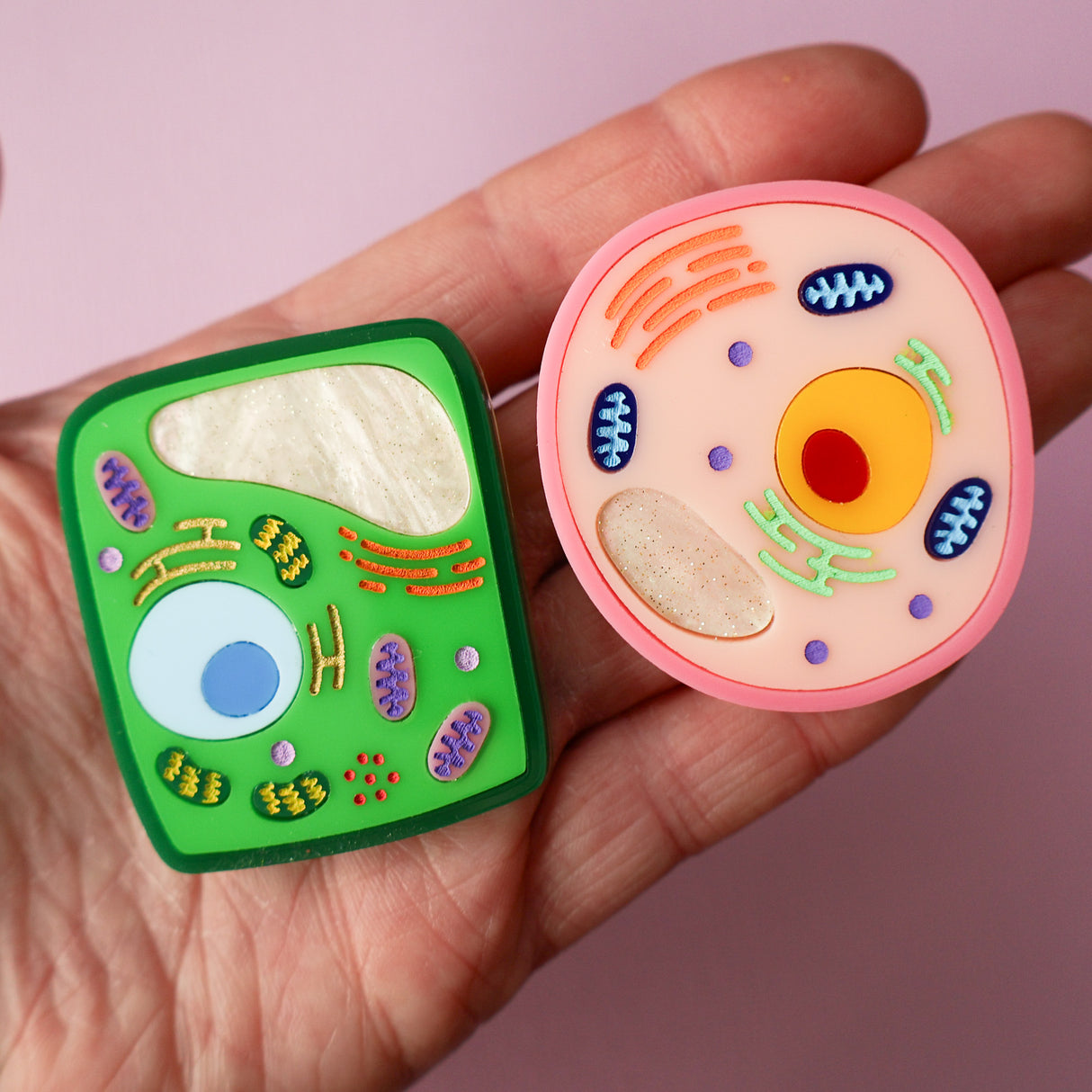 Plant and Animal Cell Brooch Set