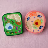 Plant and Animal Cell Brooch Set