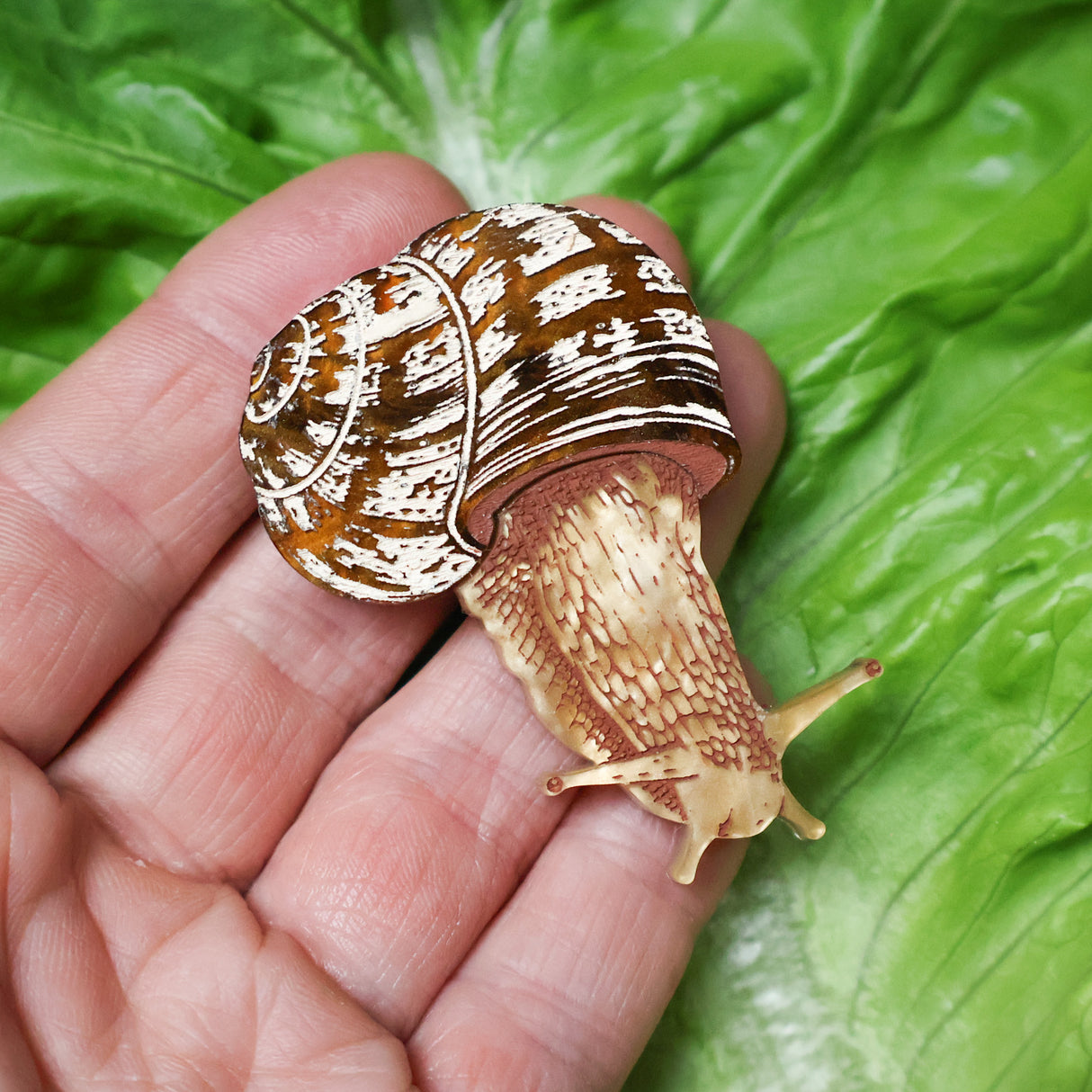 A closeup image of an acrylic snail brooch held up by a hand with a lettuce leaf in the background