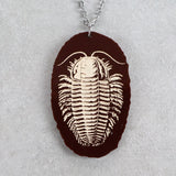 Brown acrylic pendant with trilobite design and stainless steel chain. 
