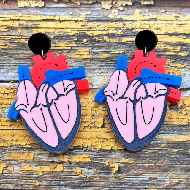 A pair of anatomical heart earrings, showing a cross-sectional view. Made from laser cut and handpainted acrylic.