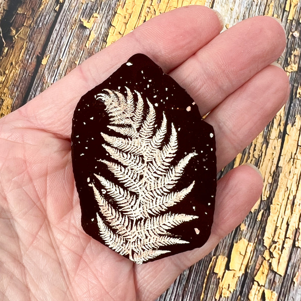 A fern fossil brooch, in brown acrylic, with a beige handpainted fern imprint, made to look like a real lifelike fossil. 