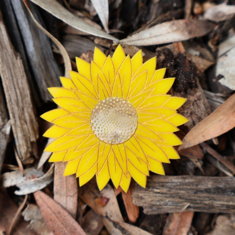 Swamp Everlasting Native Flower Brooch