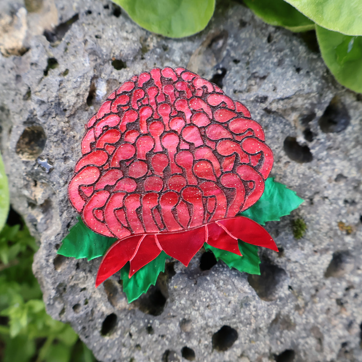 Waratah Native Flower Brooch