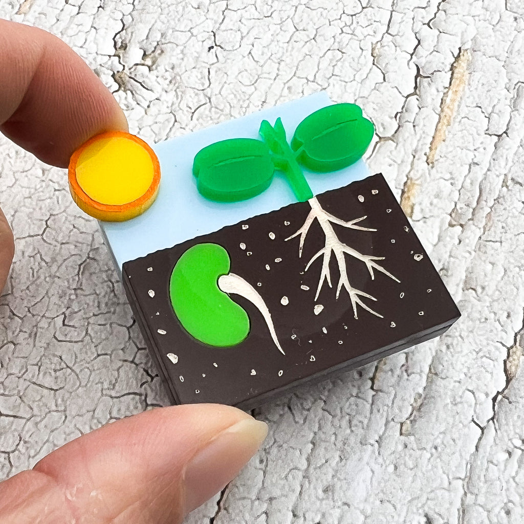 A brooch showing two stages in the plant germination process. One side shows a seed in the ground while the other side shows a seedling with roots. Laser cut and handpainted from acrylic.