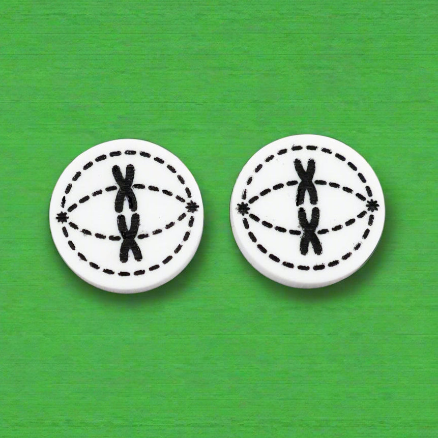 Pair of round black and white acrylic stud earrings with meiosis design.