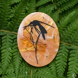 Decorative oval acrylic brooch with a black mosquito design etched into an amber looking acrylic. 