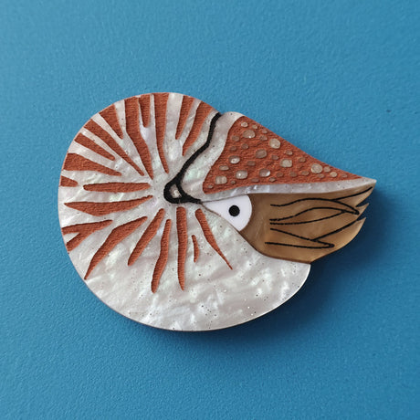 A laser cut acrylic nautilus brooch in brown tones, against a blue background.