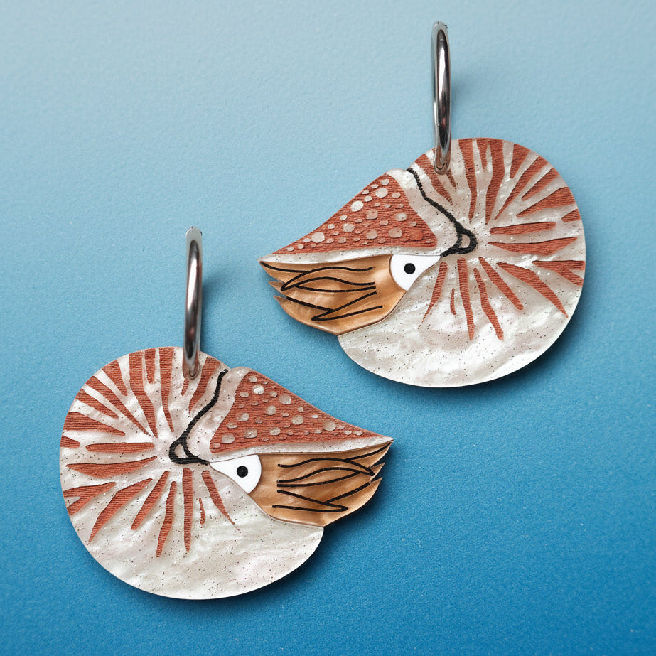 Pair of acrylic earrings with a nautilus design, hanging from huggie hoops. 
