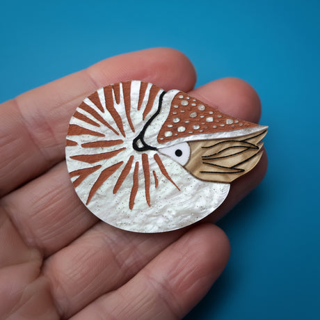 An acrylic nautilus brooch being held in a hand against a blue backdrop. 