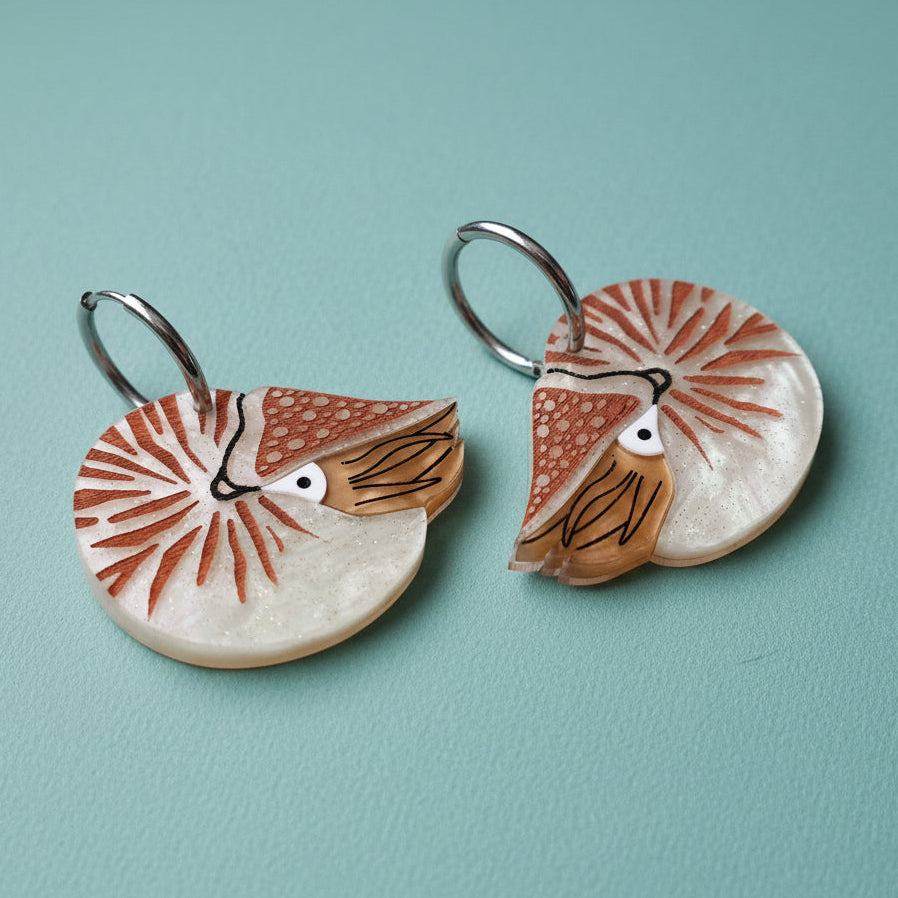 Pair of acrylic  earrings with nautilus design with huggie hoops. 