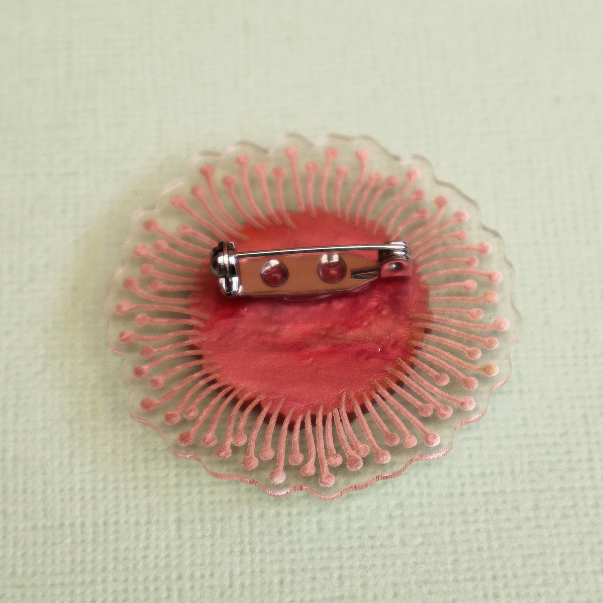Pincushion Hakea brooch back view
