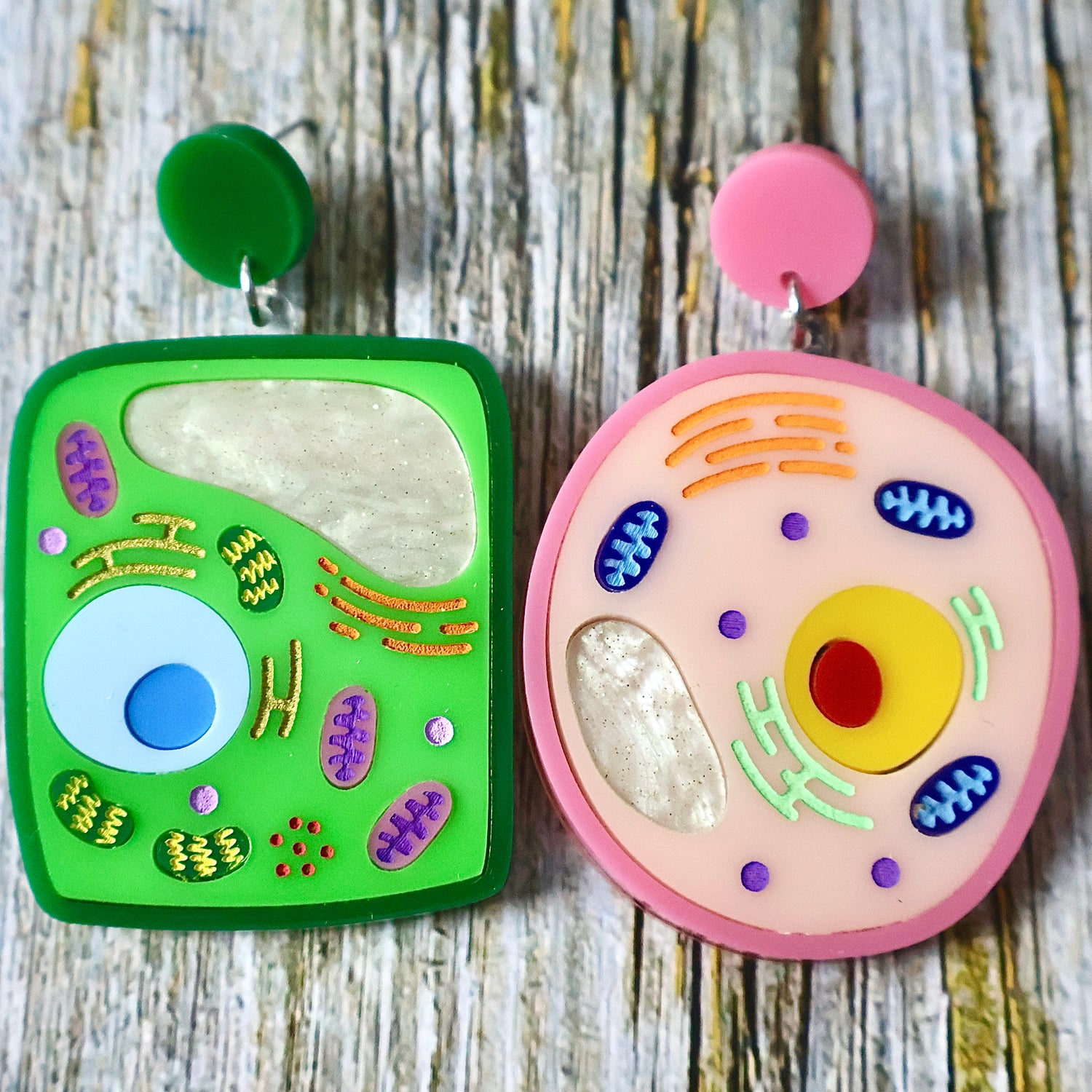 Two acrylic earrings shaped like green and pink cell models on a wooden surface.