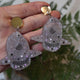 Mola Mola (Ocean Sunfish) Earrings