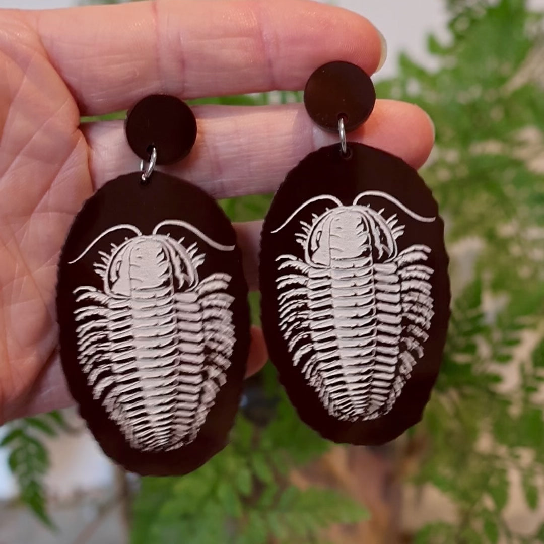 Closeup Video of Acrylic trilobite earrings by Oh Pluto