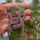 Closeup Video of Acrylic brown earthworm earrings by Oh Pluto