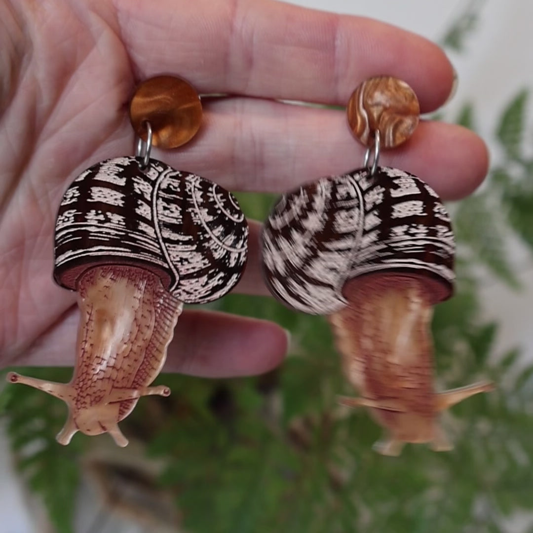 Garden Snail Earrings