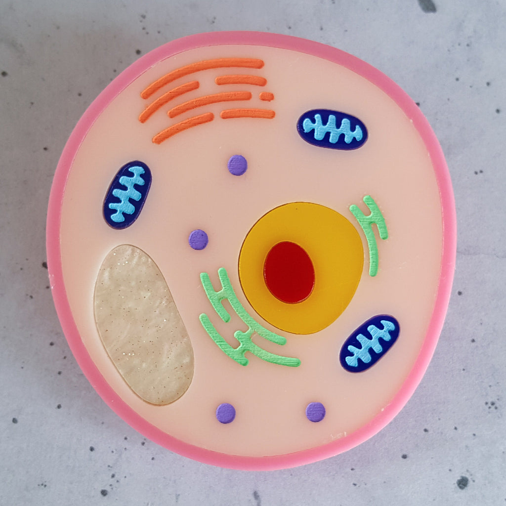 A pink animal cell acrylic brooch, closeup view.
