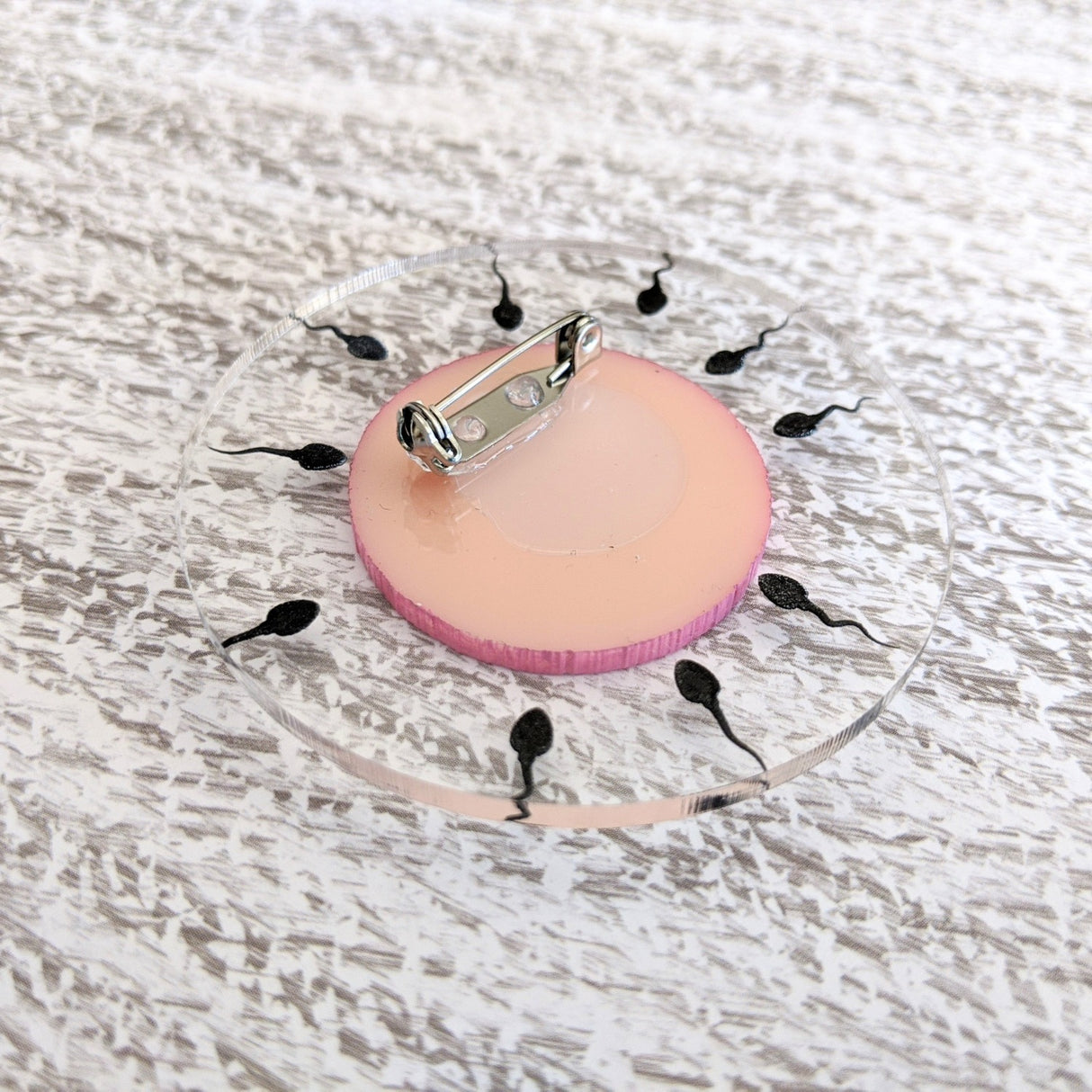 Acrylic Human Egg and Sperm cell Brooch rear side showing stainless steel brooch pin and locking clasp. 