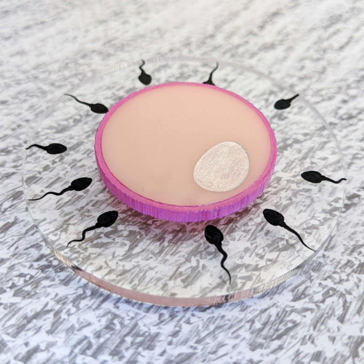 Acrylic Human Egg and Sperm cell Brooch up close andgled view. Shows pink acrylic egg surrounded by black sperm etched onto a clear backdrop. 