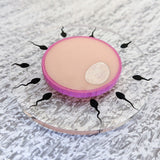 Acrylic Human Egg and Sperm cell Brooch up close andgled view. Shows pink acrylic egg surrounded by black sperm etched onto a clear backdrop. 